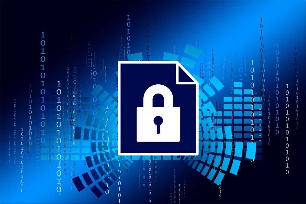 security, privacy policy, digitization